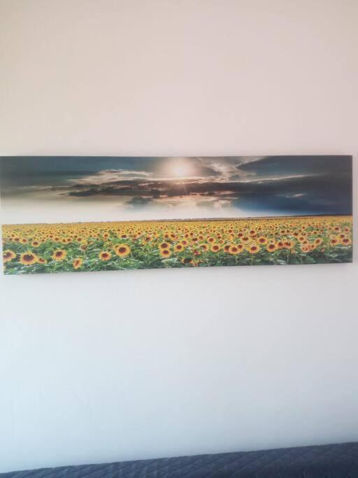 Il Girasole Διαμέρισμα Κάλιαρι Εξωτερικό φωτογραφία